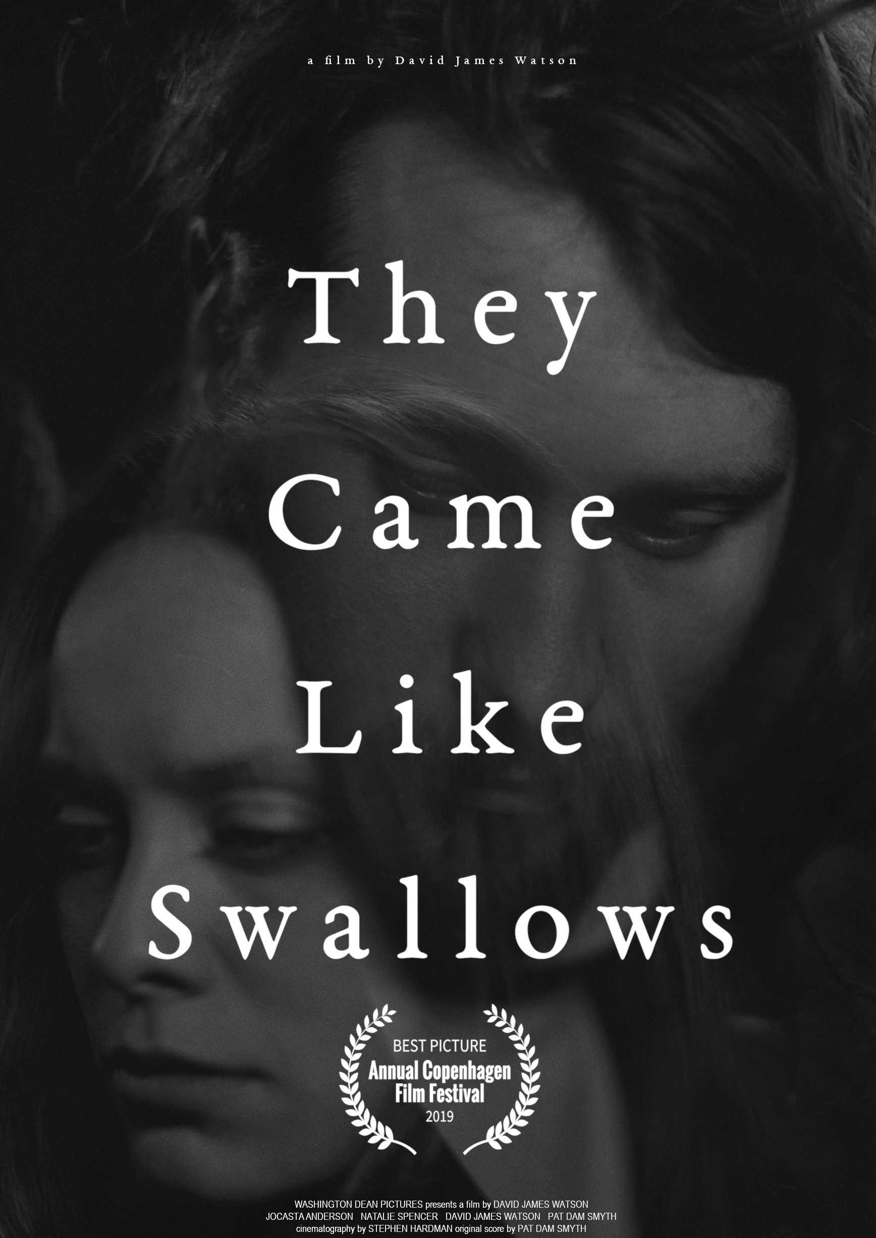 They Came Like Swallows постер