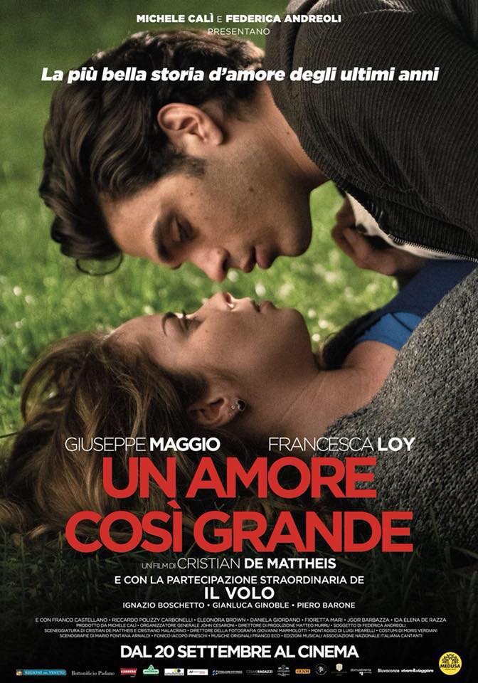 Un amore così grande (2018) постер