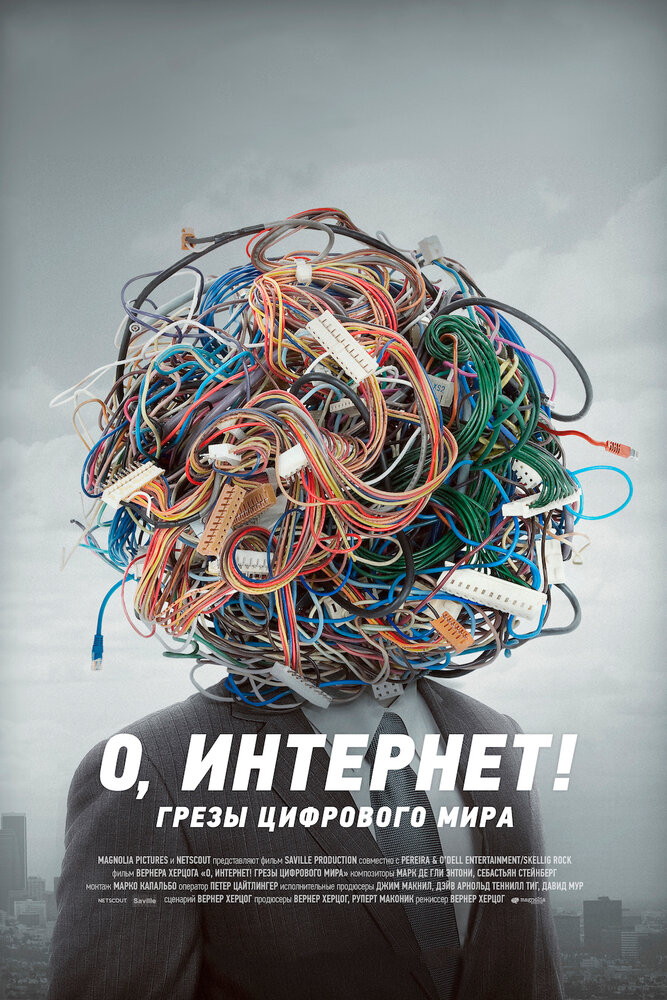 О, Интернет! Грезы цифрового мира (2016) постер