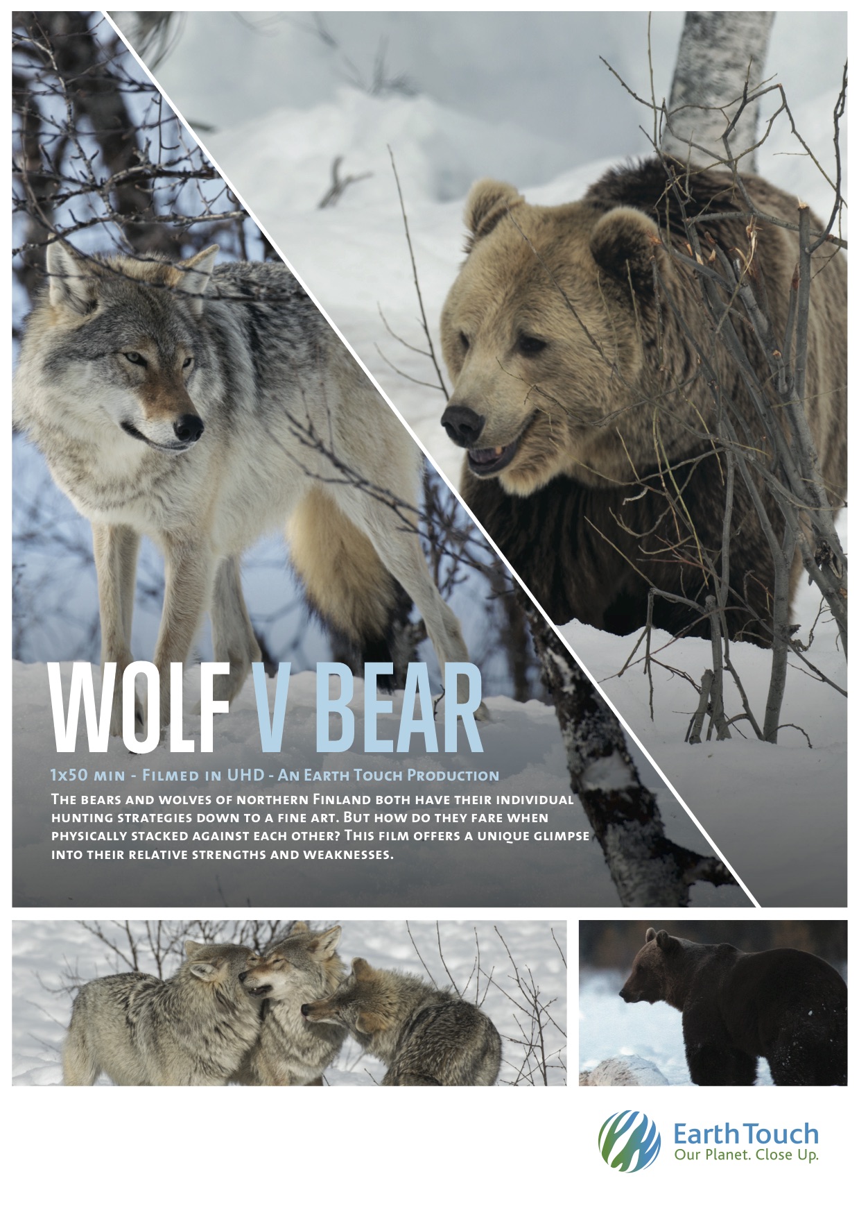 Волк против медведя (2018) постер