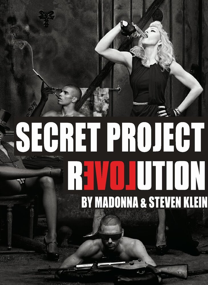Secret Project Revolution (2013) постер