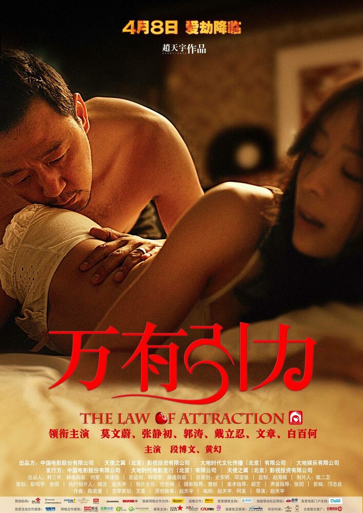 Законы привлекательности (2011) постер